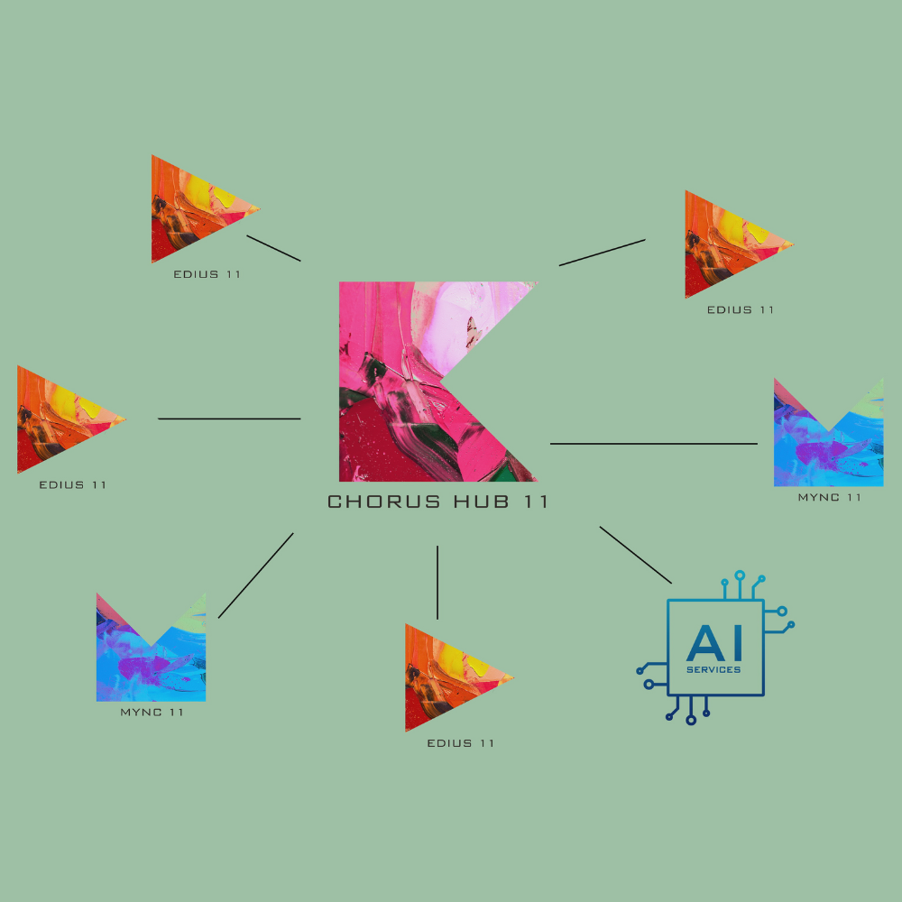 EDIUS 11 - Image 2