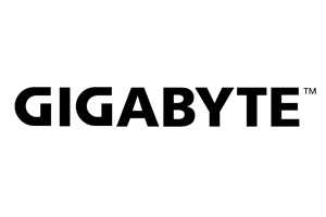 Gigabyte 10